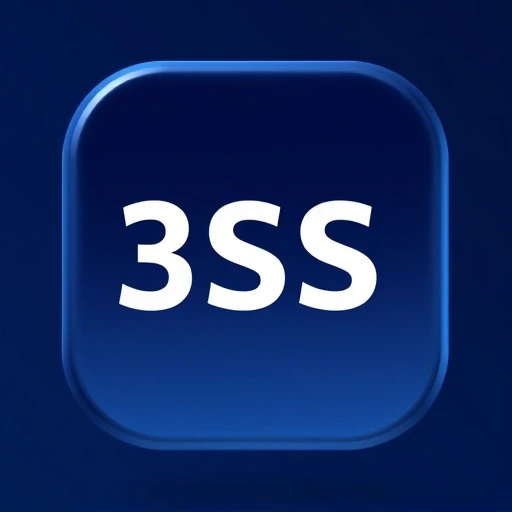 3ss.com
